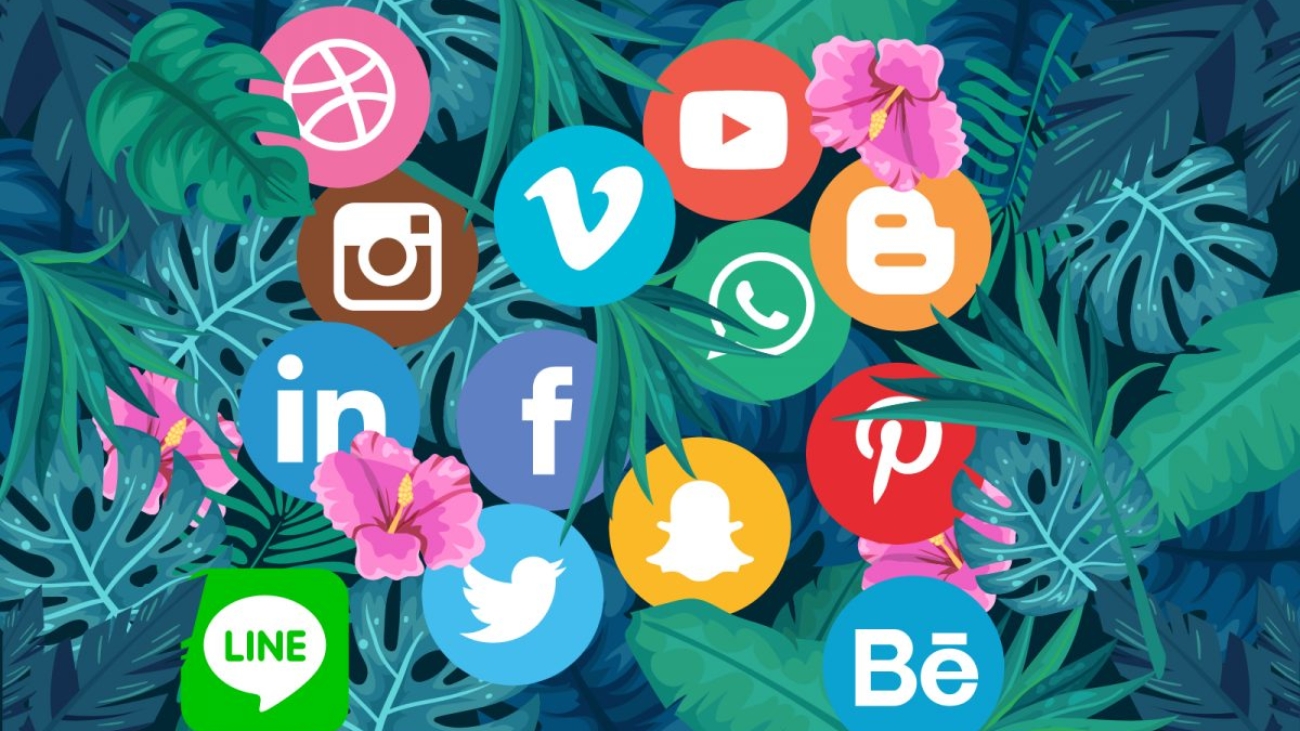 Social Media Usage