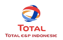 Pertamina Hulu Mahakam, Total E&P Indonesie