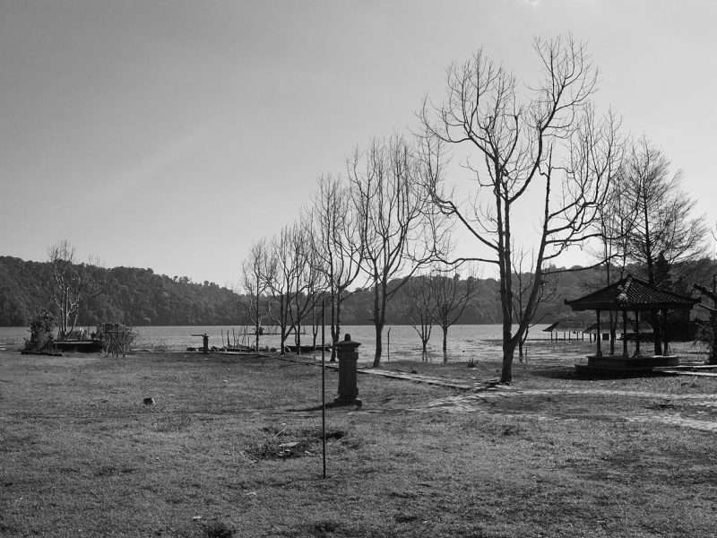 IMG-9713 copy