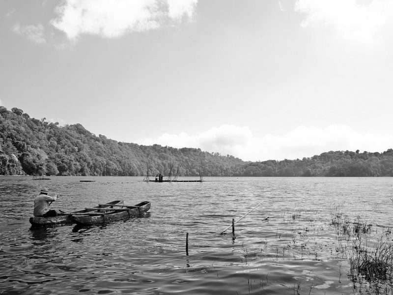 IMG-9771