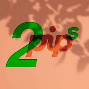 2pips_RDS_STUDIO